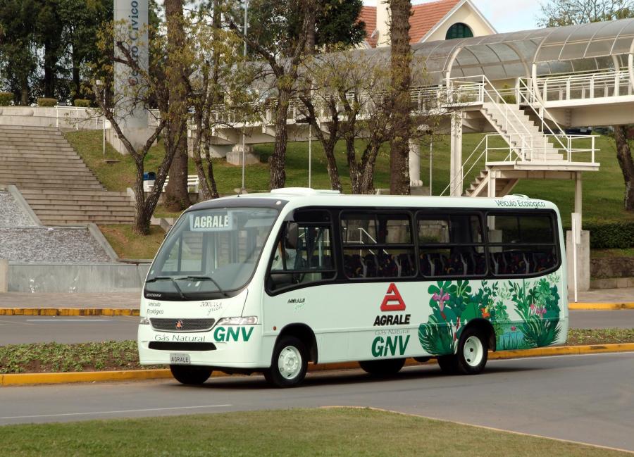  Marcopolo Senior Agrale MA 9.2 Green GNV 2003 года  (фото 1 из 1)